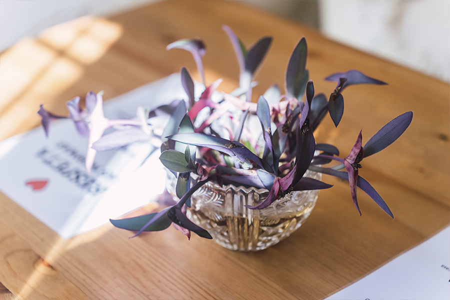 Salón / comedor Casa El Jardín